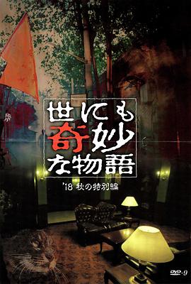 科罗拉丢失的猫